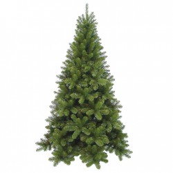 Sapin Tuscan Vert...