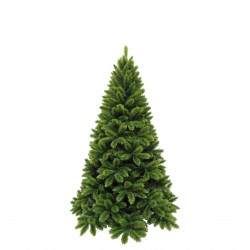 Sapin Tsuga Vert...