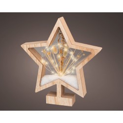 Étoile Led Fleurs Séchées...