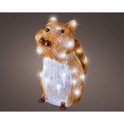 Écureuil Led Acrylique...