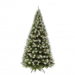 Sapin Pomme De Pin...