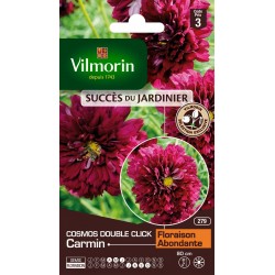 VILMORIN SUCCÈS DU...