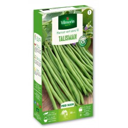 VILMORIN HARICOT Nain Sans...
