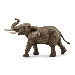 Elephant D'Afrique Male...
