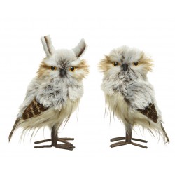 Hibou Peluche...