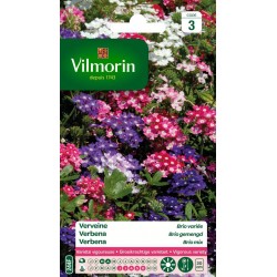 VILMORIN VERVEINE Brio...