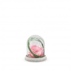 Verrine Stabilisee Cloche...