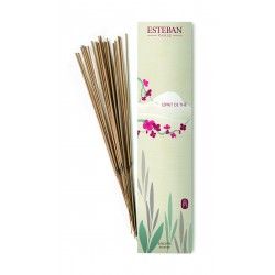Encens Indiens X20 Esprit...