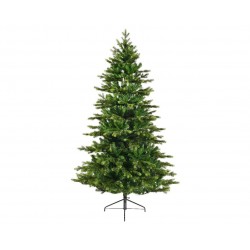 Sapin Galloway Vert H240