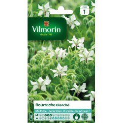 VILMORIN BOURRACHE Blanche...