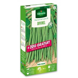 VILMORIN +20G...