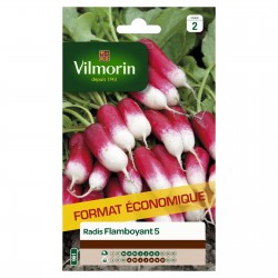VILMORIN-RADIS Flamboyant 5...