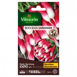 VILMORIN RADIS Expo Hf1...