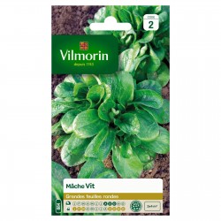 VILMORIN MÂCHE Vit 3X4M...
