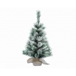 Sapin Vancouver Vert/Blanc H60