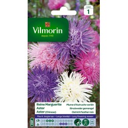 VILMORIN REINE MARGUERITE...