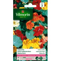 VILMORIN CAPUCINE Valina...