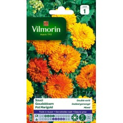 VILMORIN SOUCI Double Varié...