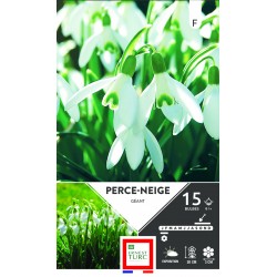 PERCE-NEIGE Géant Calibre...