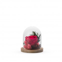 Verrine Stab Cloche...