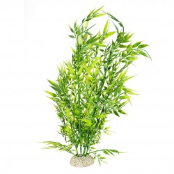 PLANTE BAMBOOXL H37 vert...