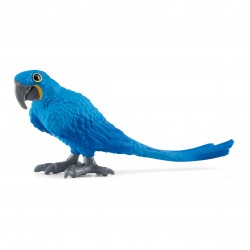 Ara Hyacinthe Wild Life...