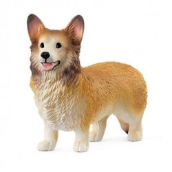 Chien Welsh Corgi Farm...