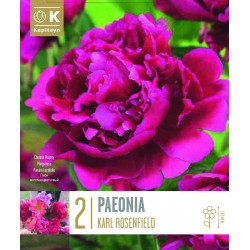 KAPITEYN PLANTES...