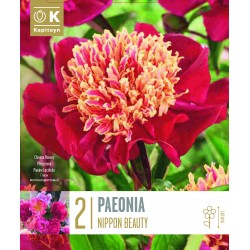 KAPITEYN PLANTES...