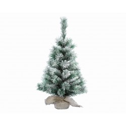 Sapin vancouver pied jute...