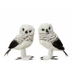 Chouette Fourrure Gris En...