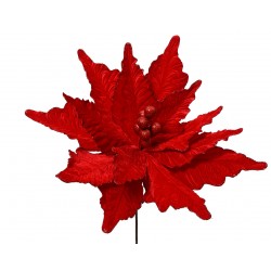 Tige De Poinsettia Rouge En...