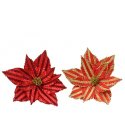 Poinsettia Rayé Sur Clip...