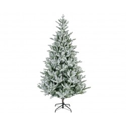 Sapin Enneigé Allison...