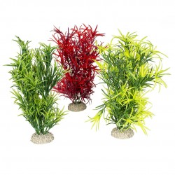 PLANTE HYDRILLA MIX...
