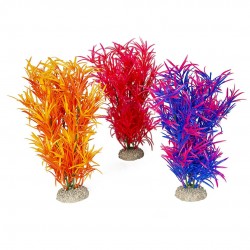 PLANTE HYDRILLA MIXL H27...