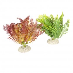 PLANTE BOLBITISM H17.5 AQUA...