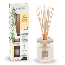 Bouquet Parfumé Ellipse...