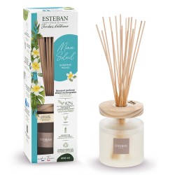 Bouquet Parfumé Ellipse...