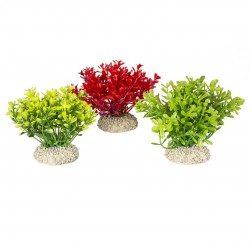 PLANTE GLOSSO MIX NATURELS...