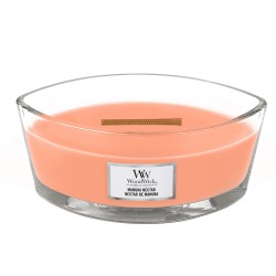 Bougie Ellipse CORE  Nectar...