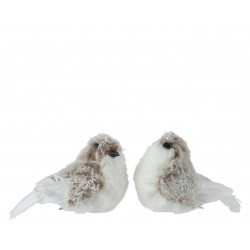 Oiseau Fourrure Sur Clip...