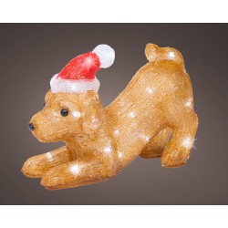 Chien Assis Led...