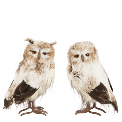 Hibou Plume Brun En...