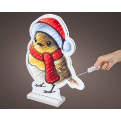 Oiseau infini 213LED...