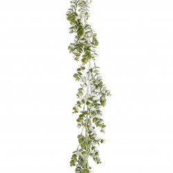 Guirlande D'Eucalyptus...