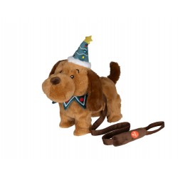 Automate chien en laisse...