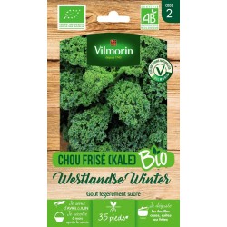 VILMORIN CHOU FRISÉ BIO...