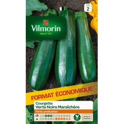 VILMORIN-COURGETTE Verte...